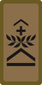 OR-6 - Sergent-chef