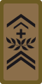OR-8 - Adjudant sous-officier