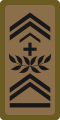 OR-9b - Adjudant-major